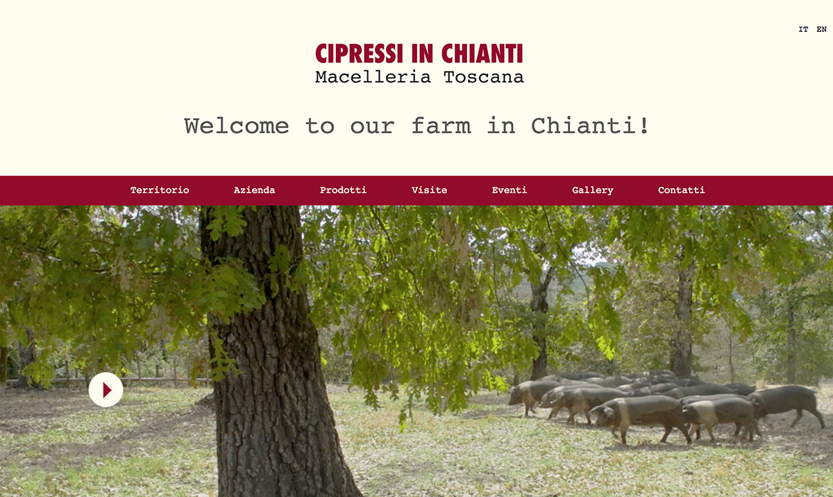 Cipressi in Chianti